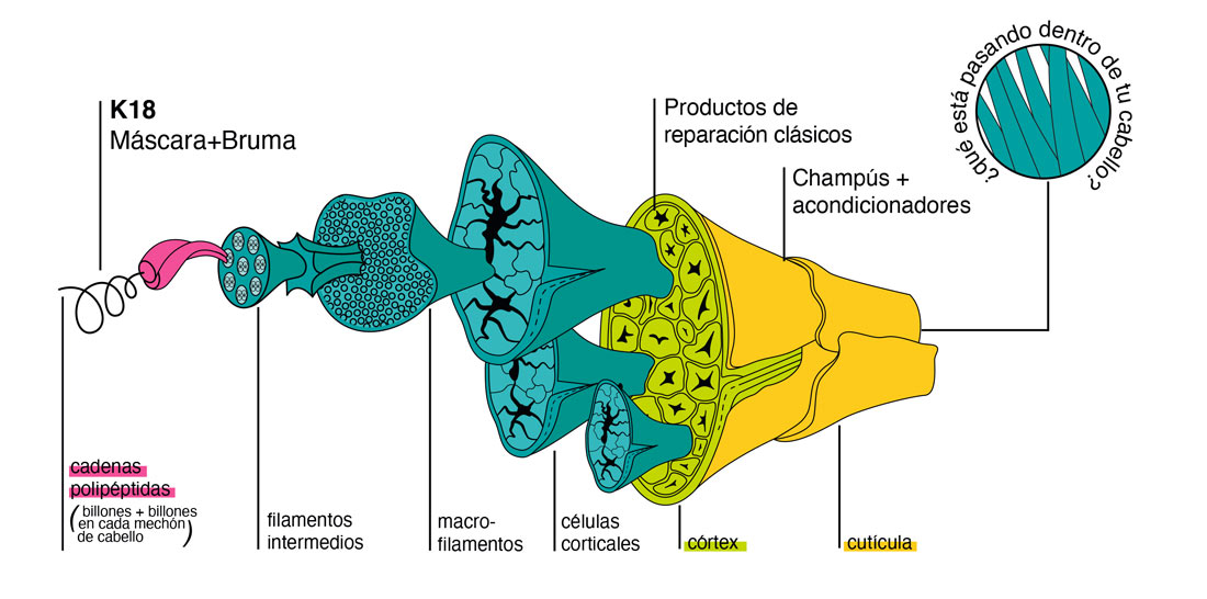 Como funcionan los productos de la marca K18 mascarilla leave-in bruma