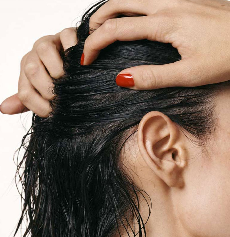 OLAPLEX Nº 0.5 Tratamiento antienvejecimeinto para el cuero cabelludo Scalp Longevity Treatment BETH'S HAIR OLAPLEX Nº 0.5 Tratamiento antienvejecimeinto para el cuero cabelludo Scalp Longevity Treatment BETH'S HAIR