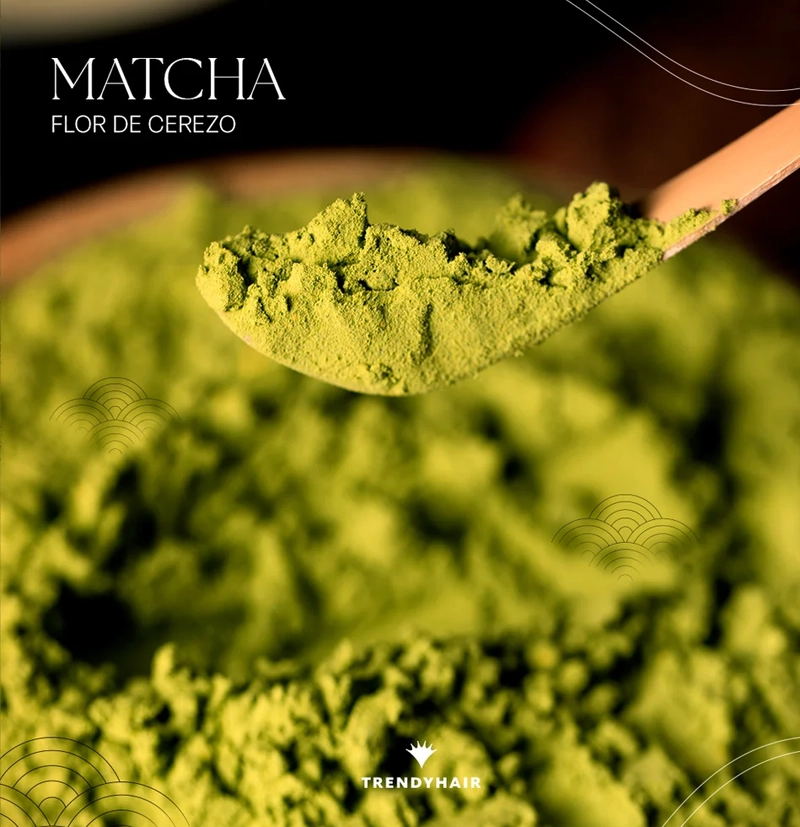 Mascarilla detox Matcha Blossom mask de TRENDY HAIR BETH'S HAIR Mascarilla detox Matcha Blossom mask de TRENDY HAIR BETH'S HAIR